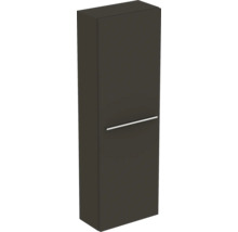 Armoire haute avec porte et poignée pour la salle de bain