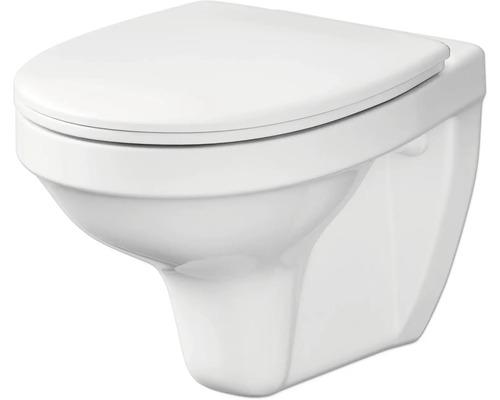 Wand-WC Set Delfi Tiefspüler mit Spülrand weiß glänzend mit WC-Sitz