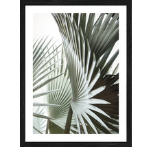 Gerahmtes Bild Jungle Leaves III 33x43 cm