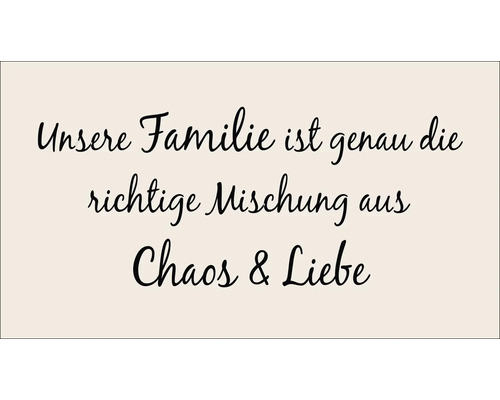 Panneau décoratif Chaos und Liebe 30x15 cm