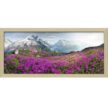 Image encadrée avec paysage de montagne et prairie fleurie