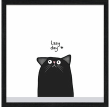 Gerahmtes Bild Lazy Day 33x33 cm