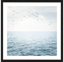 Gerahmtes Wandbild mit Darstellung von Vögeln über dem Meer