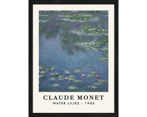 Tableau encadré Monet Water Lilies 33x43 cm
