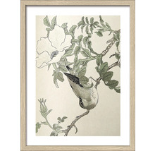 Gerahmtes Bild Birds I 33x43 cm