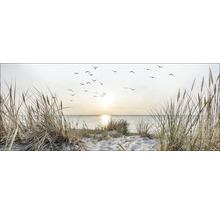 Dekoratives Wandbild mit Strandhafer und Möwenflug über dem Meer