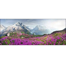 Panorama d''une prairie fleurie devant un paysage de montagne