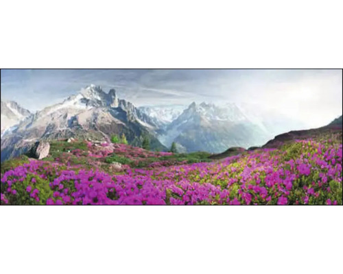 Panorama d''une prairie fleurie devant un paysage de montagne