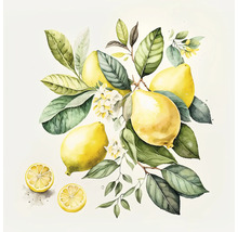 Illustration avec citron, feuilles et fleurs