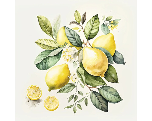 Illustration avec citron, feuilles et fleurs