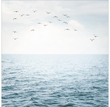 Photo de la mer avec des oiseaux qui volent