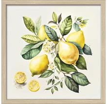 Gerahmtes Bild Lemons I 33x33 cm