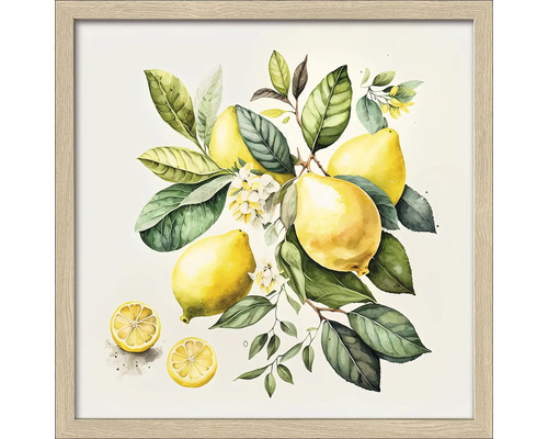 Tableau encadré Lemons I 33x33 cm