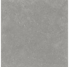 FLAIRSTONE Feinsteinzeug Terrassenplatte Skyfall grey rektifizierte Kante 90 cm x 45 cm x 3 cm