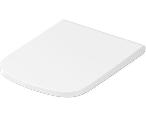 Toilettendeckel aus Kunststoff