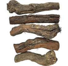 Cinq morceaux de loupe de bois