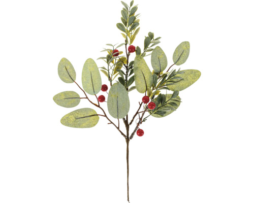Eukalyptus-Zweig mit Beeren 30 cm