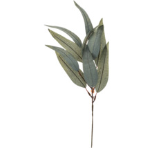 Eukalyptus-Dekozweig mit Blättern