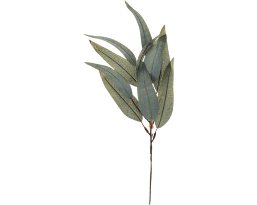 Branche d'eucalyptus 38 cm
