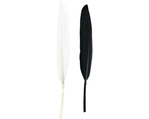 Plume indienne noir-blanc 13 cm env. 15 pièces