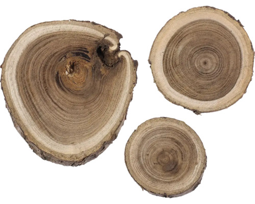 Tranches de bois de caroubier 3-6 cm 80 g