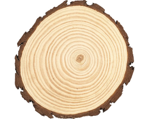 Tranche en bois de pin 20-22x2 cm Tranche en bois de pin 20-22x2 cm