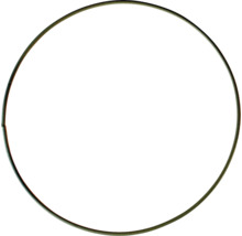 Anneau de connexion rond