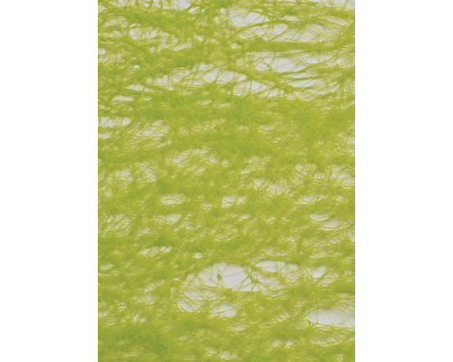 Ruban intissé vert clair 60 mm 10 m