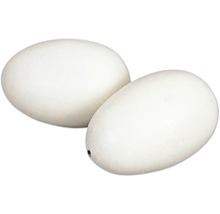 Deux œufs décoratifs en plastique