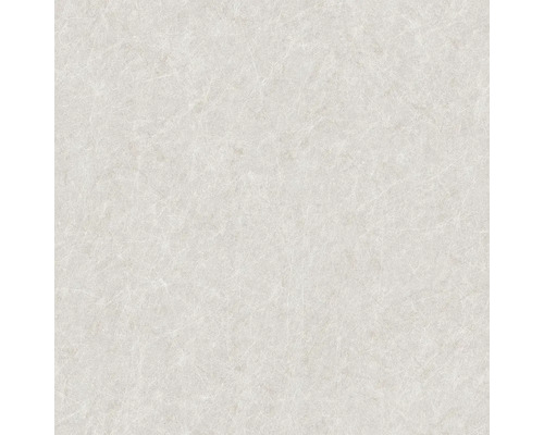 Papier peint intissé TP422905 Tapestry uni gris Papier peint textile avec grain