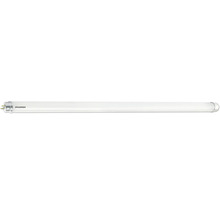 Tube fluorescent Sylvania