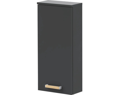 Armoire suspendue Möbelpartner Duo couleur de façade anthracite 32,7 x 72,3 x 16,3 cm