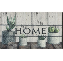 Paillasson avec des plantes grasses et l''inscription Home