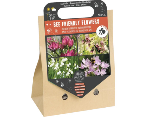 Blumenzwiebel Mischung 'Bienenfreundliche Blumen I' mit Tulpe, Allium & Sommerknotenblume 33 Stück Bienengerechte Blumenmischung im Papierbeutel, 33 Stück