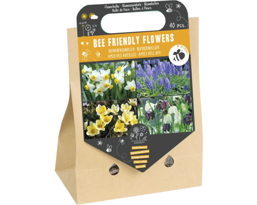 Mélange de bulbes de fleurs, 'Fleurs qui attirent les abeilles I' avec des narcisses, muscaris, crocus et fritillaires 40 pièces Bulbes à fleurs, respectueux des abeilles, 40 pièces dans un sac en papier