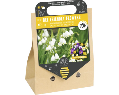 Blumenzwiebel Mischung 'Bienenfreundliche Blumen II' mit Sommerknotenblume & Wildkrokus 25 Stück Bienefreundliche Blumen Blumenzwiebeln Packung
