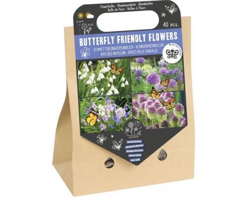 Mélange de bulbes de fleurs 'Fleurs qui attirent les papillons' avec allium, digitales sauvages et nivéoles d'été avec 40 pièces Mélange de bulbes de fleurs pour papillons dans un sac en papier