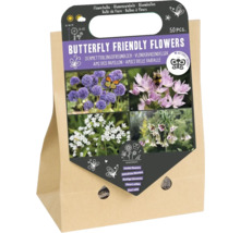 Schmetterlingsfreundliche Blumen Blumenzwiebeln in Papiertüte