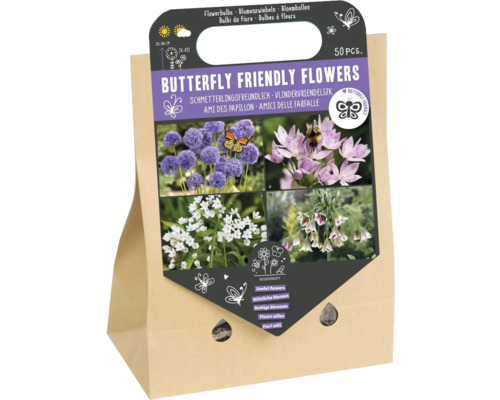 Blumenzwiebel Mischung 'Schmetterlingsfreundliche Blumen II' mit Allium/Zierlauch-Mix 50 Stück Schmetterlingsfreundliche Blumen Blumenzwiebeln in Papiertüte