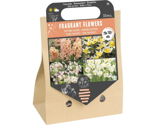 Blumenzwiebel Mischung 'Duftende Blumen' mit Tulpe, Narzisse, Allium & Hyazinthe 33 Stück Duftende Blumen Blumenzwiebeln Mischung in einer Papiertüte, 33 Stück
