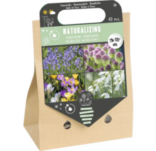 Bulbes à fleurs Naturalizing, 40 pièces