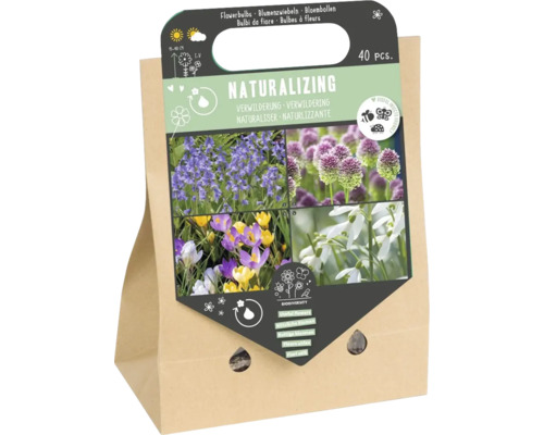 Blumenzwiebel Mischung 'Nützliche Blumen zum Verwildern' mit Botanischem Krokus, Schneeglöckchen, Blausternchen & Allium 40 Stück Blumenzwiebeln Naturalizing, 40 Stück