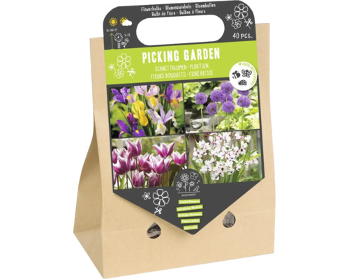 Mélange de bulbes de fleurs 'Jardin de verdure' avec alliums, tulipes, iris et ixias 40 pièces Mélange de bulbes à fleurs coupées pour le jardin, 40 pièces