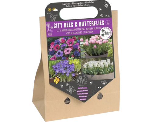 Mélange de bulbes de fleurs 'City abeilles et papillons' avec crocus, tulipes et anémones 40 pièces Mélange de bulbes à fleurs pour abeilles et papillons, 40 pièces