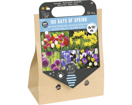 Blumenzwiebel Mischung '100 Tage Frühling' mit Allium, Tulpe, Narzisse, Botanischer Krokus & Traubenhyazinthe 50 Stück Blumenzwiebeln-Mischung, 50 Stück, für Sommerblumen