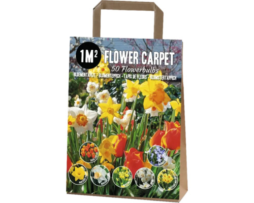 Bulbes de fleurs pour tapis de fleurs 1 m² cachemire avec tulipes, narcisses et chionodoxas Mélange de bulbes de fleurs pour un mètre carré dans un sac en papier