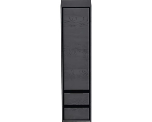 Armoire haute Sanox Loft lxhxp 40 x 160 x 35 cm à gauche couleur de façade black oak Armoire haute étroite grise avec structure en bois