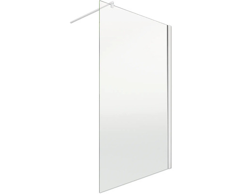 Paroi de douche en verre avec barre de maintien