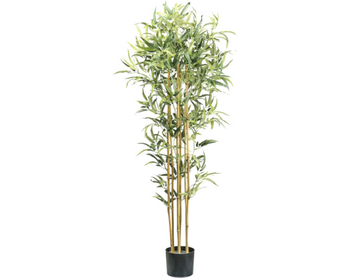 Plante artificielle bambou h 155 cm vert