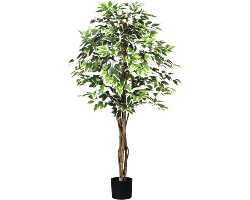 Plante artificielle Ficus Benjamin H 180 cm vert